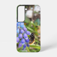 Bee on Muscari Armeniacum , Grape Hyacinth