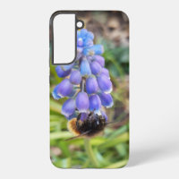 Bee on Muscari Armeniacum , Grape Hyacinth