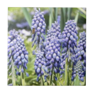 Bee On Muscari Flowers Tile