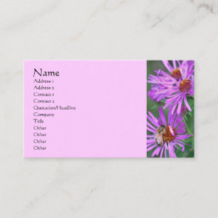 Bee On Pink Aster Flower Photography Business Card