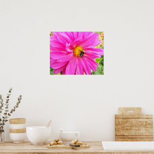 Bee on Pink Dahlia Floral Photographic Poster