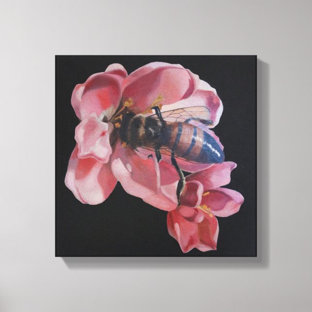 Bee on Pink Flower Canvas Print (Front)