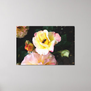 Bee on Pink Yellow Roses Flowers Canvas Print