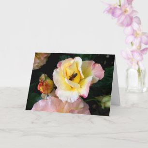 Bee on Pink Yellow Roses Flowers Card