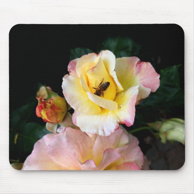  Bee on Pink Yellow Roses Flowers  Mouse Pad (Front)