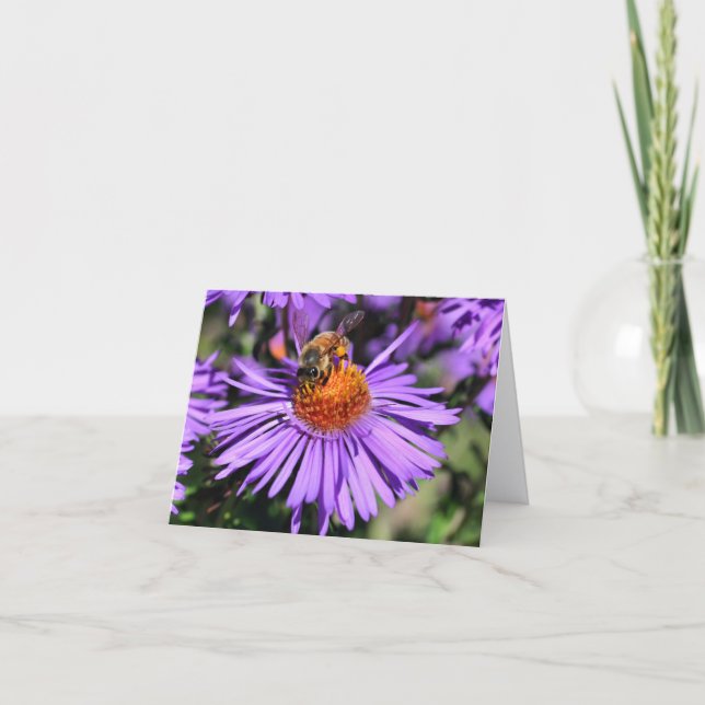 Bee On Purple Aster Flower Photography  Note Card (Front)