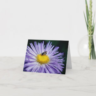Bee On Purple Daisy Flower Photography Note Card
