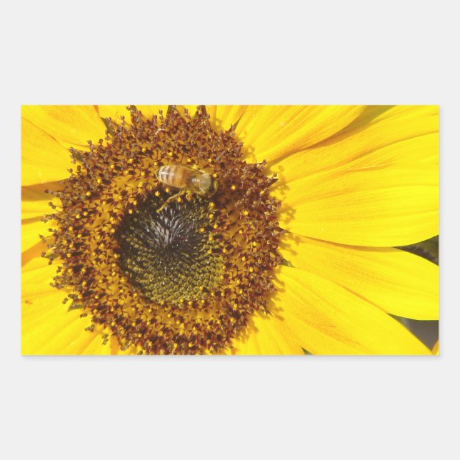 bee on sunflower postage stamp rectangular sticker (Front)