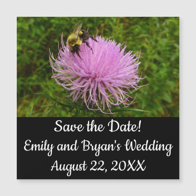 Bee on Thistle Flower Nature (Front)