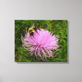 Bee on Thistle Flower Nature Canvas Print