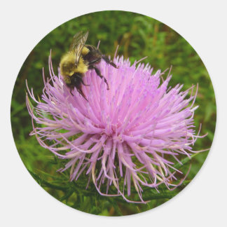 Bee on Thistle Flower Nature Classic Round Sticker
