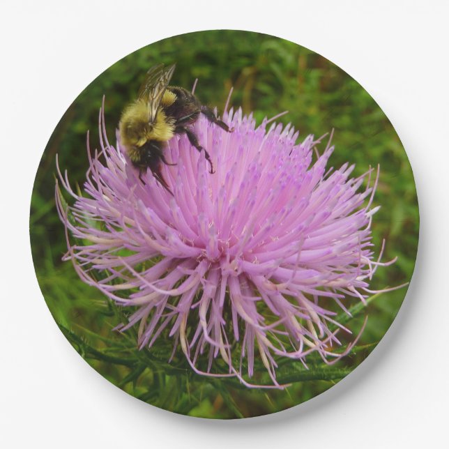 Bee on Thistle Flower Nature Paper Plate (Front)