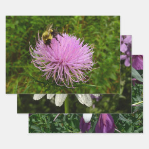 Bee on Thistle Wrapping Paper Sheet