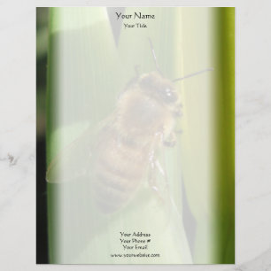 Bee on White Flower Letterhead