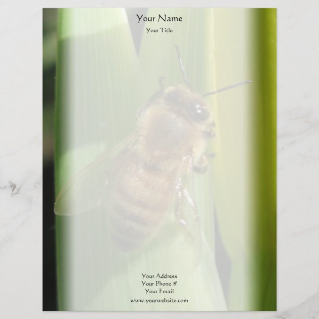 Bee on White Flower Letterhead Design (Front)
