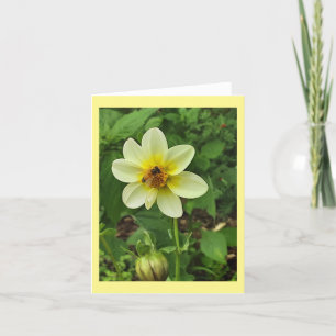 Bee on yellow dahlia flower announcement