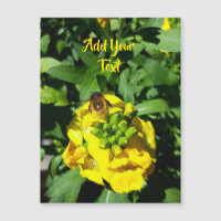 Bee on Yellow Flowers