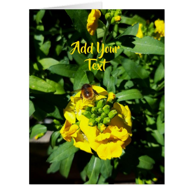 Bee on Yellow Flowers (Front)