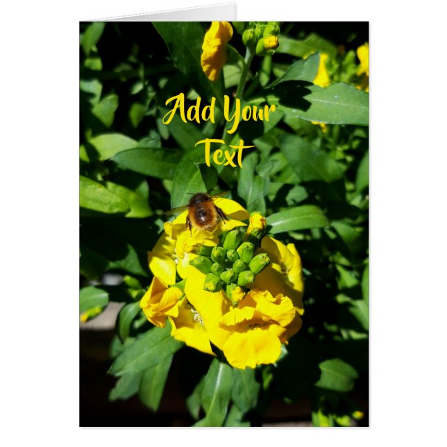 Bee on Yellow Flowers (Front)