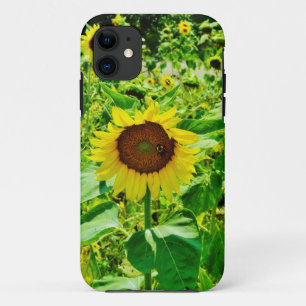 Bee on yellow Sunflower iPhone 11 Case