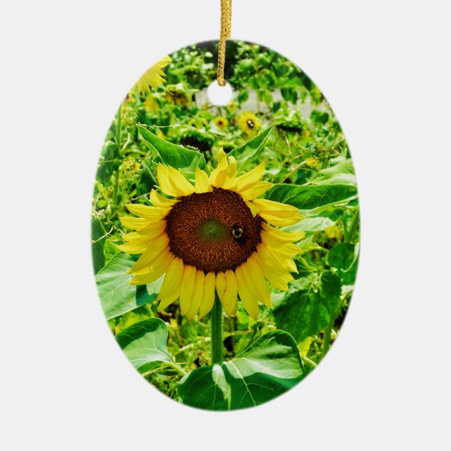 Bee on yellow Sunflower Ceramic Tree Decoration (Front)