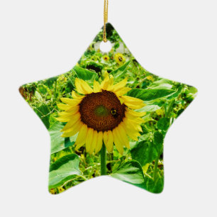 Bee on yellow Sunflower Ceramic Tree Decoration