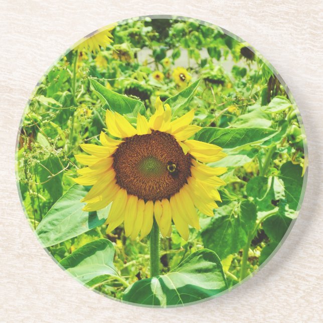 Bee on yellow Sunflower Coaster (Front)