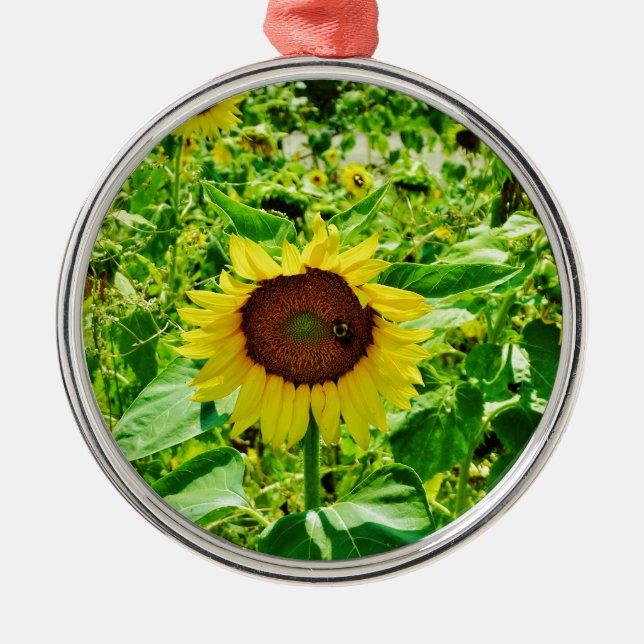 Bee on yellow Sunflower Metal Tree Decoration (Front)