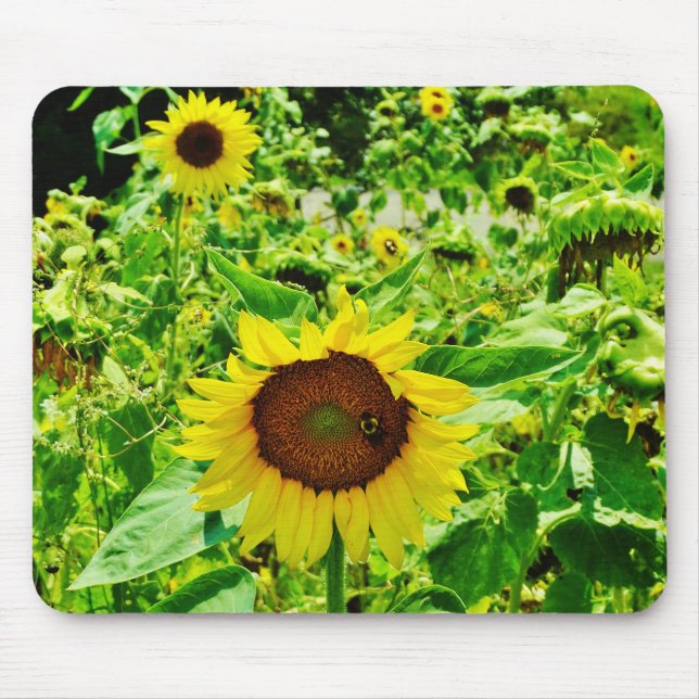 Bee on yellow Sunflower Mouse Pad (Front)