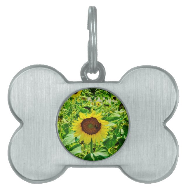 Bee on yellow Sunflower Pet Name Tag (Front)