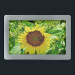 Bee on yellow Sunflower Rectangular Belt Buckle<br><div class="desc">Sunflower field. Photo taken by artist Sandy Closs. Fall and autumn background of a sunny field of yellow and gold sunflowers. Personalise with your own text. Autumn,  sunflower, summer, yellow,  gold,  fall,  nature flower flowers garden country</div>