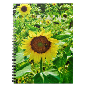 Bee on yellow Sunflower Spiral Notebook