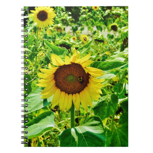 Bee on yellow Sunflower Spiral Notebook (Front)