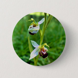 Bee Orchid Badge