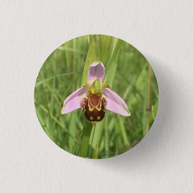 Bee Orchid Flower 3 Cm Round Badge (Front)