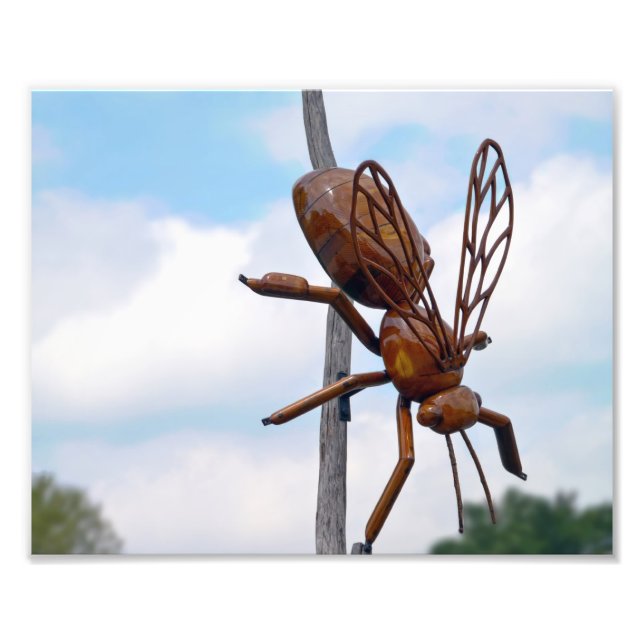 Bee Photo Print (Front)