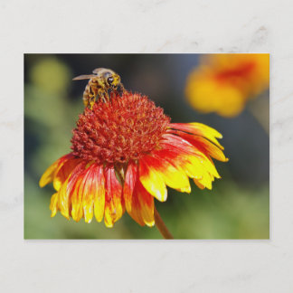 Bee Postcard
