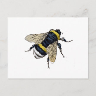 Bee Postcard