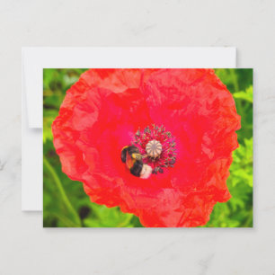 Bee postcard