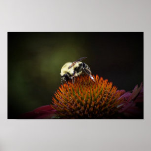 Bee, Poster