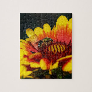 Bee Puzzle