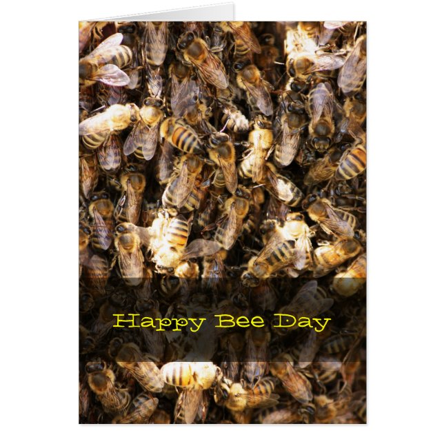 Bee Swarm (Front)