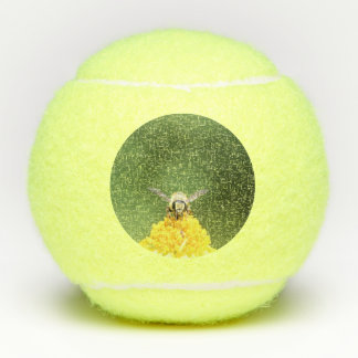 Bee  tennis balls