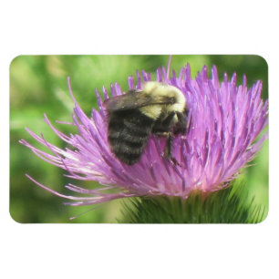 Bee & Thistle Magnet