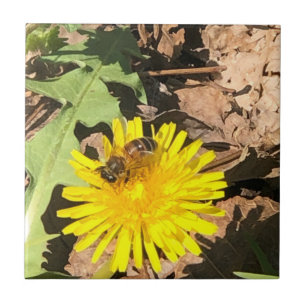 Bee Tile