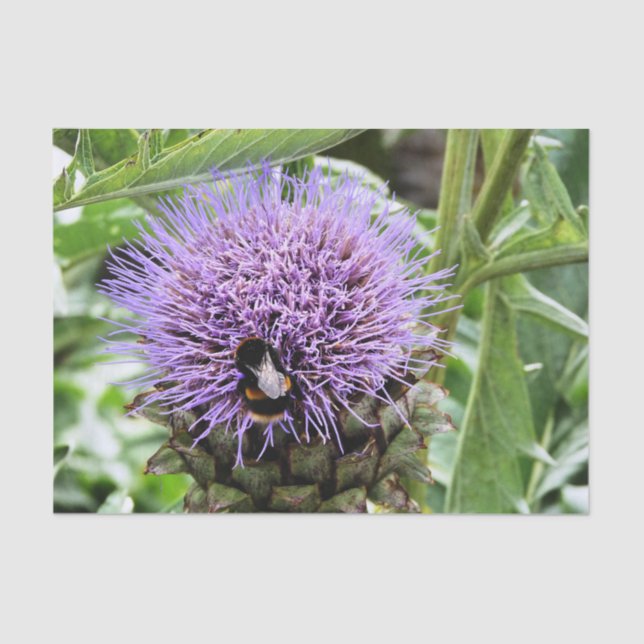 BEE   TISSUE PAPER (Front)