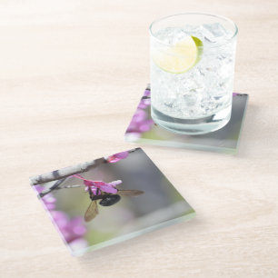 Bee Tree Pink Flowers (photo by me) Glass Coaster