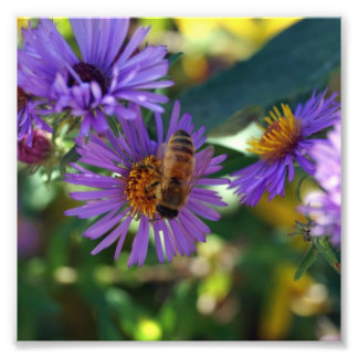 Bee-u-t-ful Photo Print