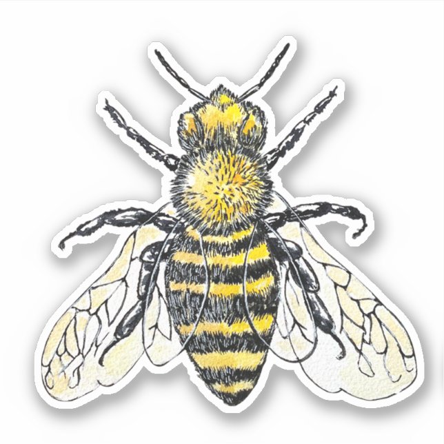 Bee Watercolor Sticker (Front)