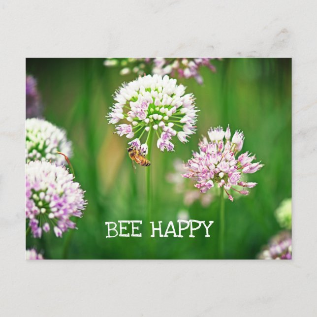 Bee with Purple Allium Garden Flower Motivational Postcard (Front)